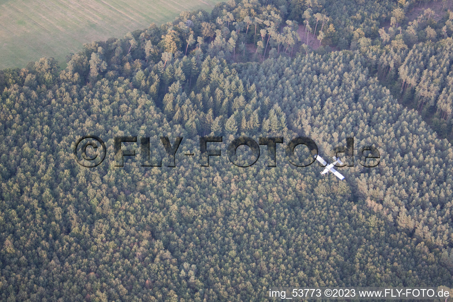 Porter Airfield in a dive after a parachutist drop in Schweighofen in the state Rhineland-Palatinate, Germany