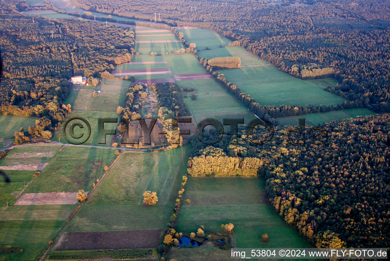 Aerial view of Forest area Bienwald, Otterbachtal in Kandel in the state Rhineland-Palatinate, Germany