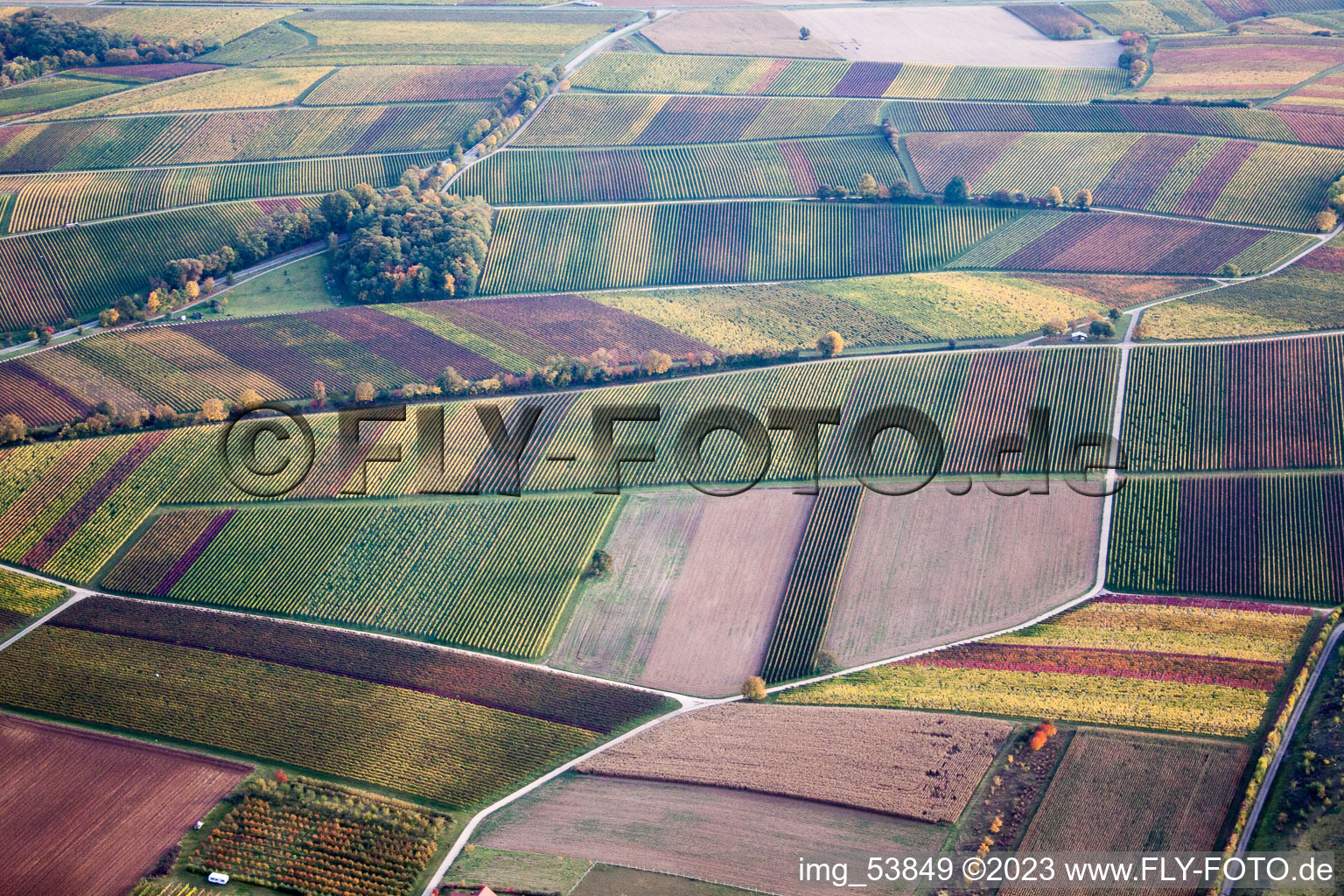 Autumn coloured Fields of wine cultivation landscape in the district Heuchelheim in Heuchelheim-Klingen in the state Rhineland-Palatinate