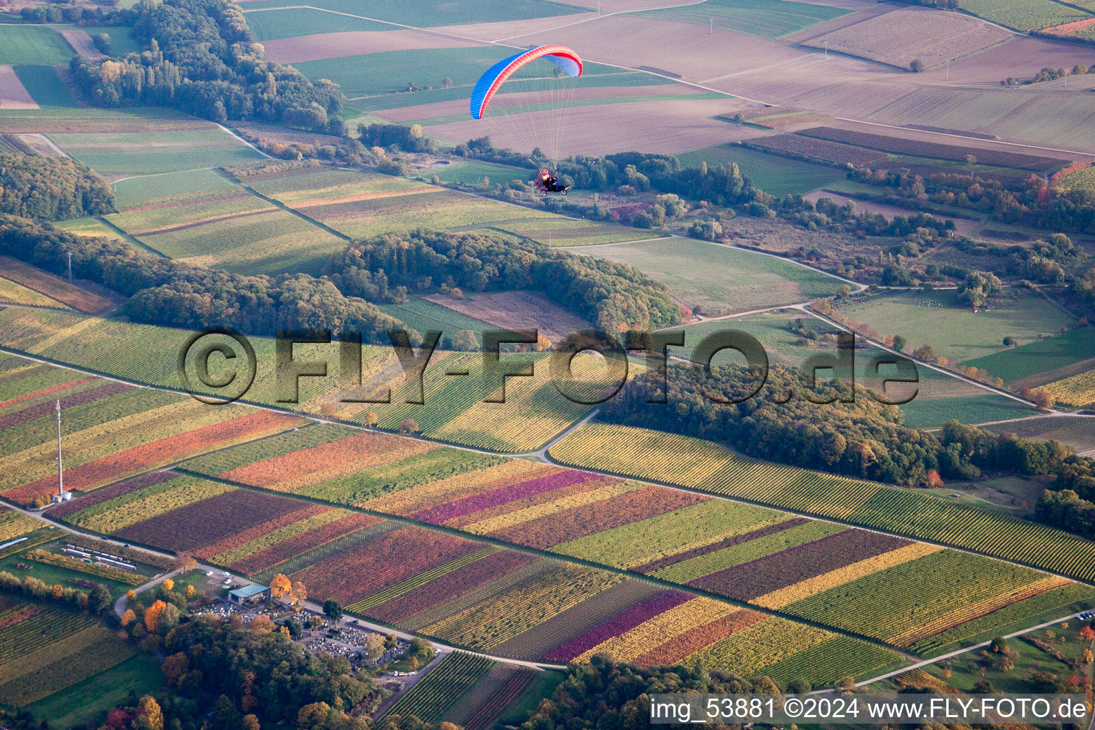 Fields of wine cultivation landscape with paraglider in Klingenmuenster in the state Rhineland-Palatinate