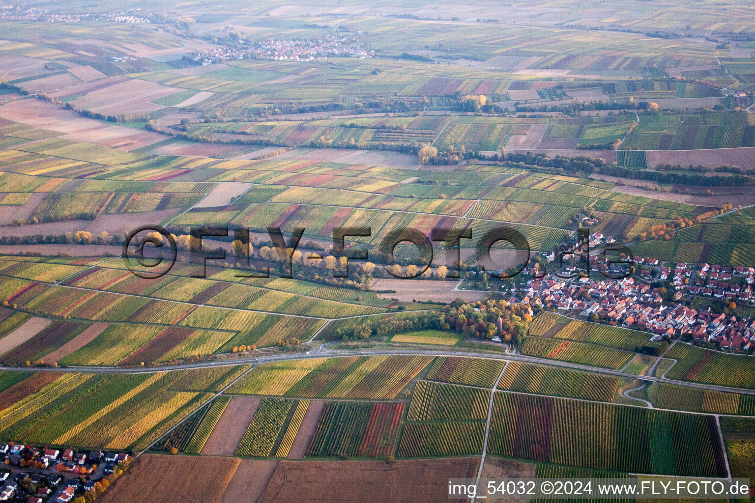 Oblique view of District Wollmesheim in Landau in der Pfalz in the state Rhineland-Palatinate, Germany