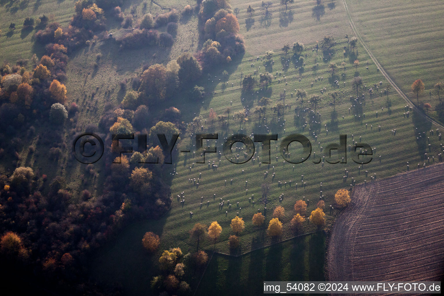 Lembach in the state Bas-Rhin, France from above