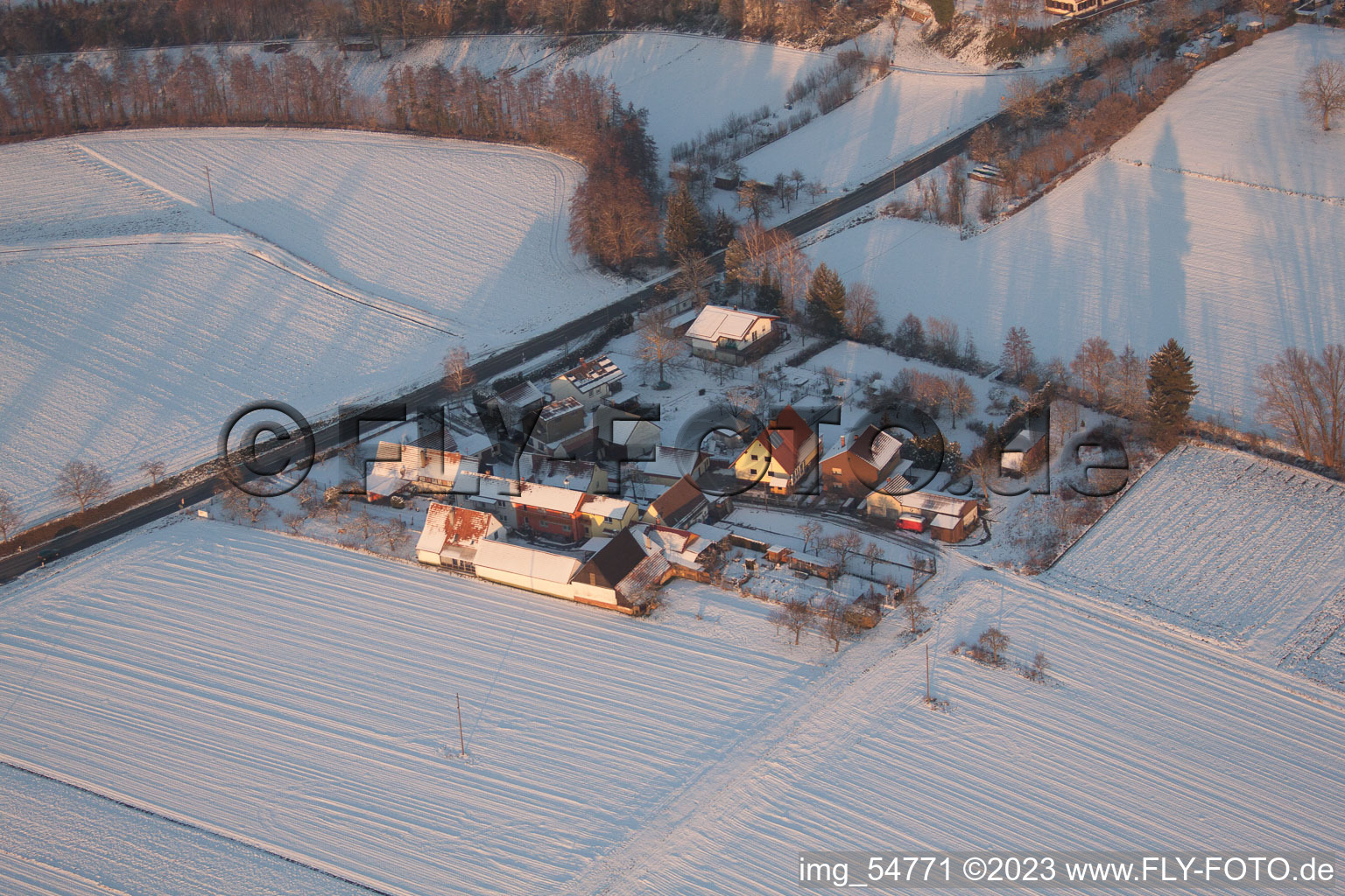Aerial view of Welchhof in Minfeld in the state Rhineland-Palatinate, Germany
