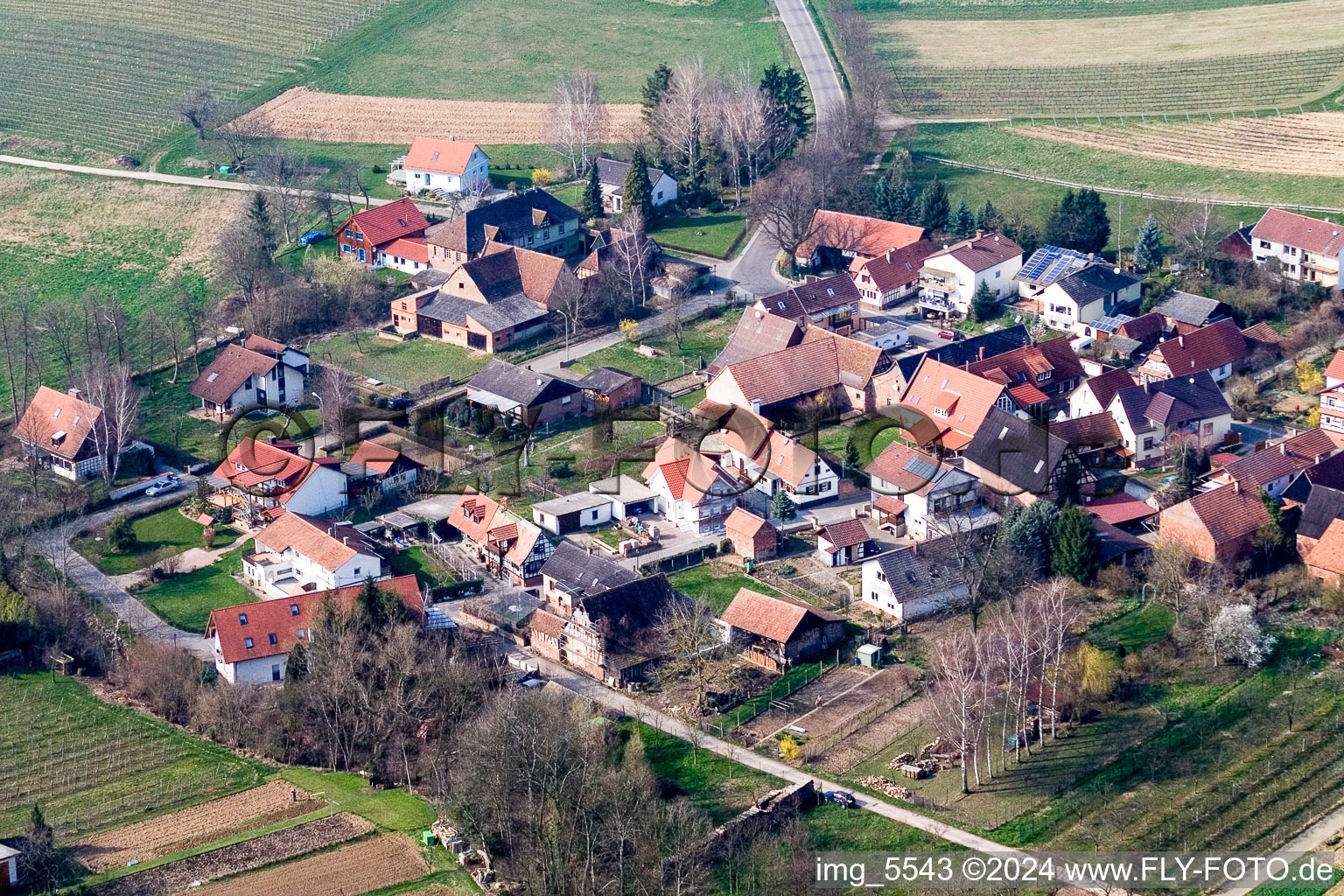 Hergersweiler in the state Rhineland-Palatinate, Germany from above