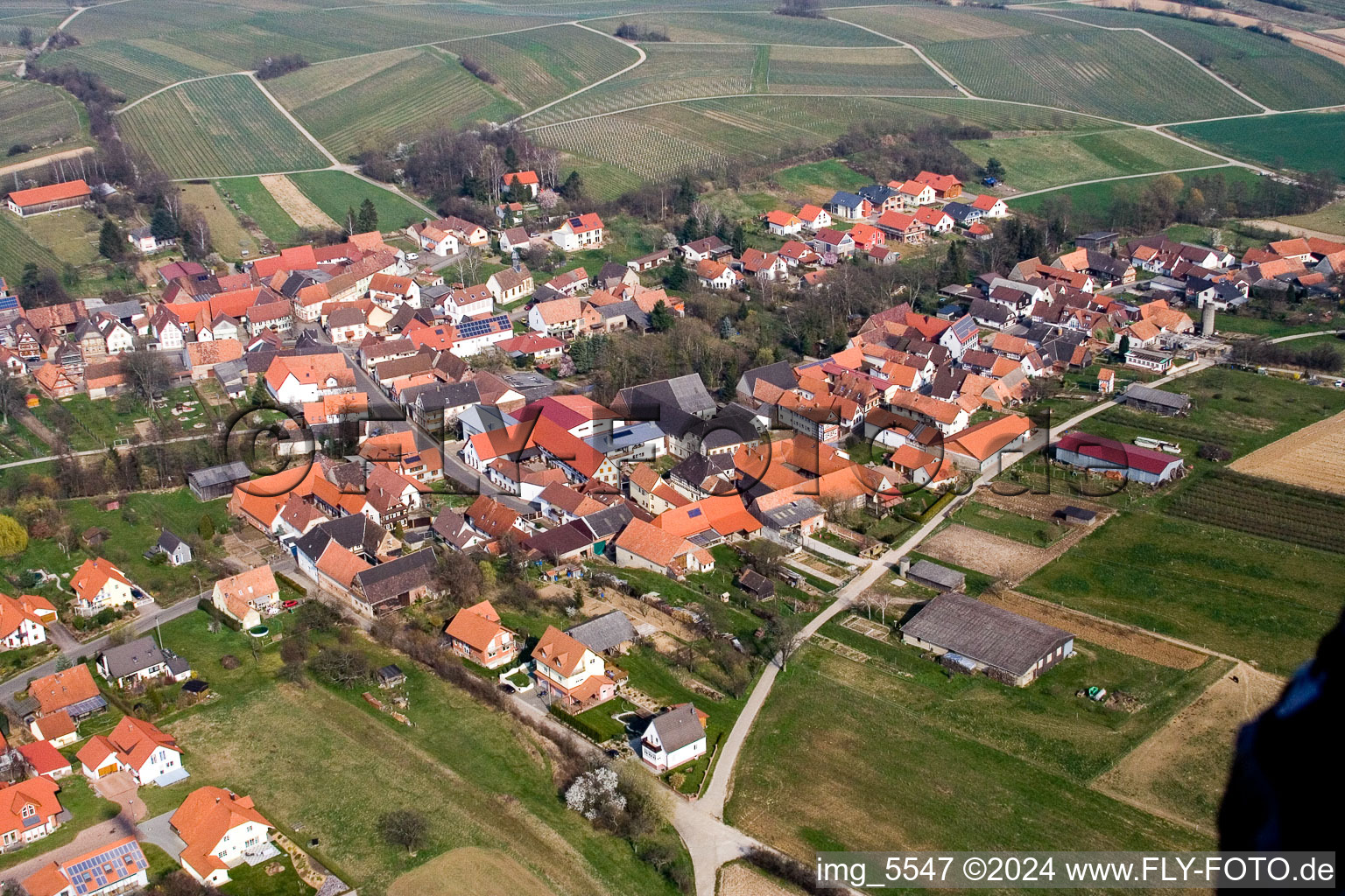 Bird's eye view of Hergersweiler in the state Rhineland-Palatinate, Germany