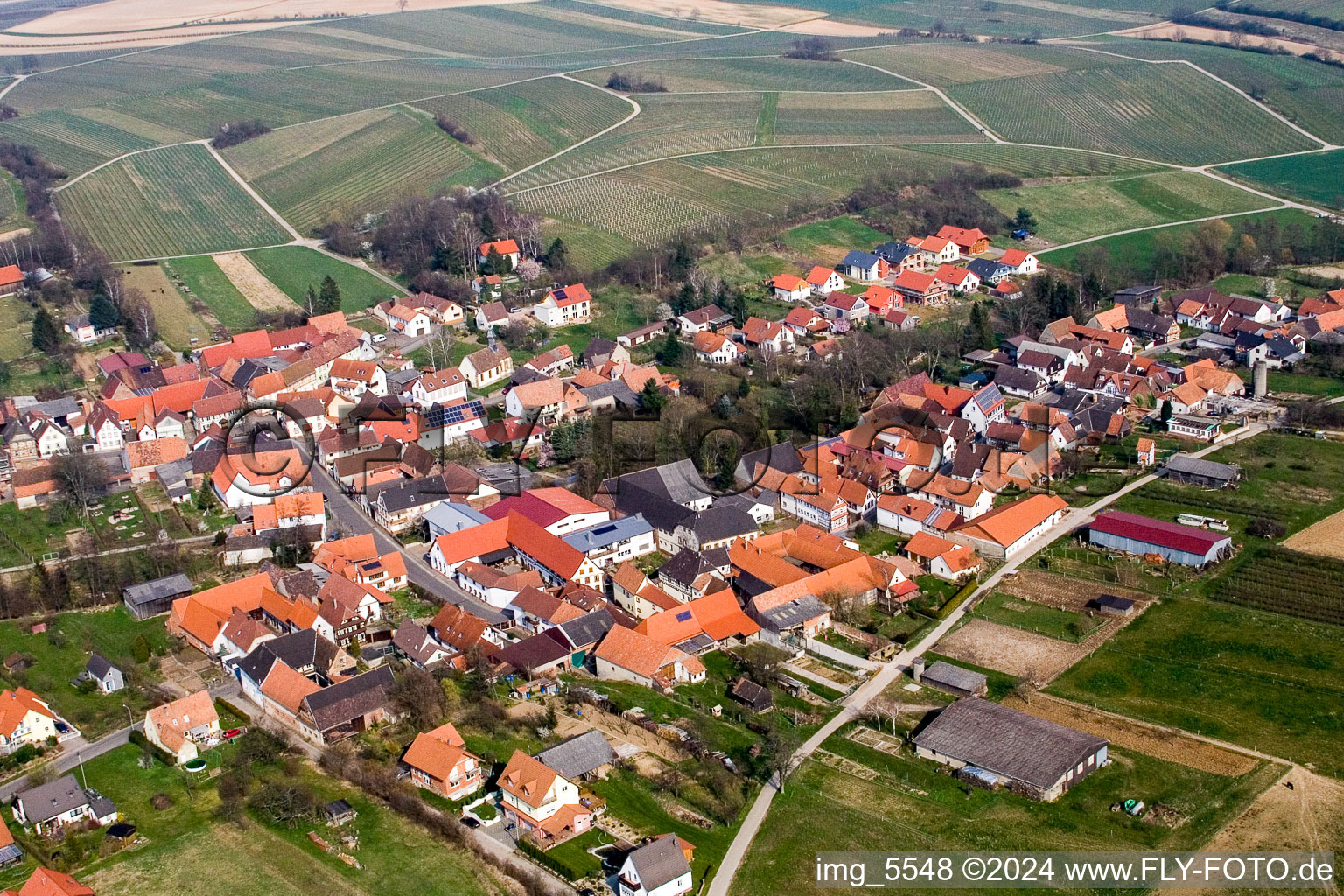 Hergersweiler in the state Rhineland-Palatinate, Germany viewn from the air