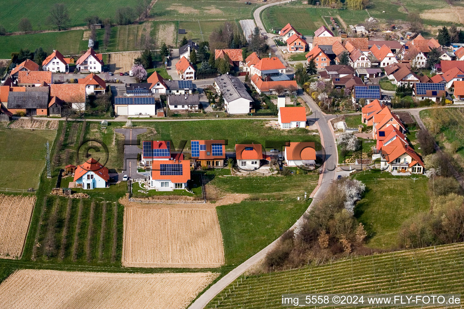 Hergersweiler in the state Rhineland-Palatinate, Germany from above