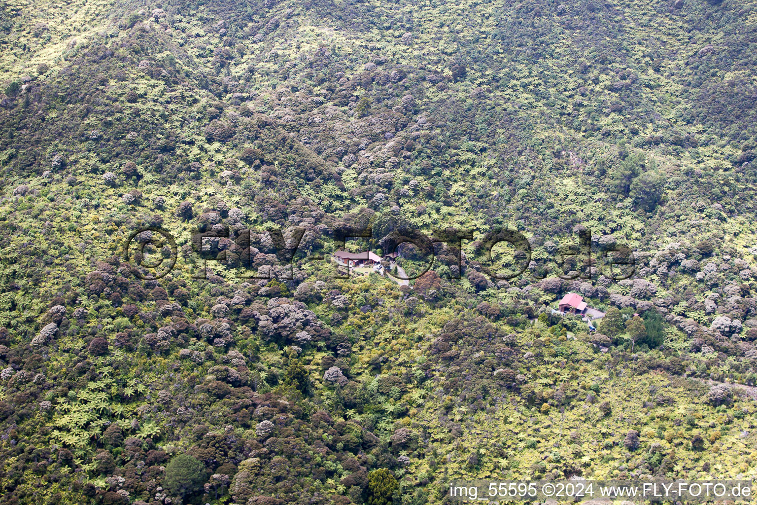 District Preece Point in Coromandel in the state Waikato, New Zealand from the drone perspective