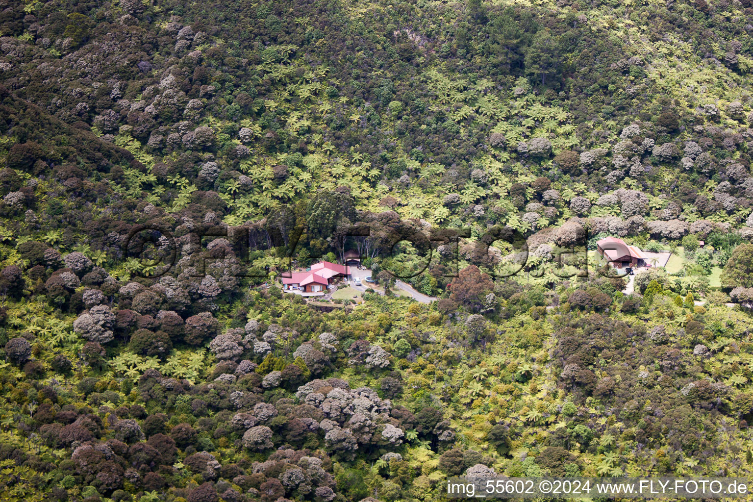 District Preece Point in Coromandel in the state Waikato, New Zealand from a drone