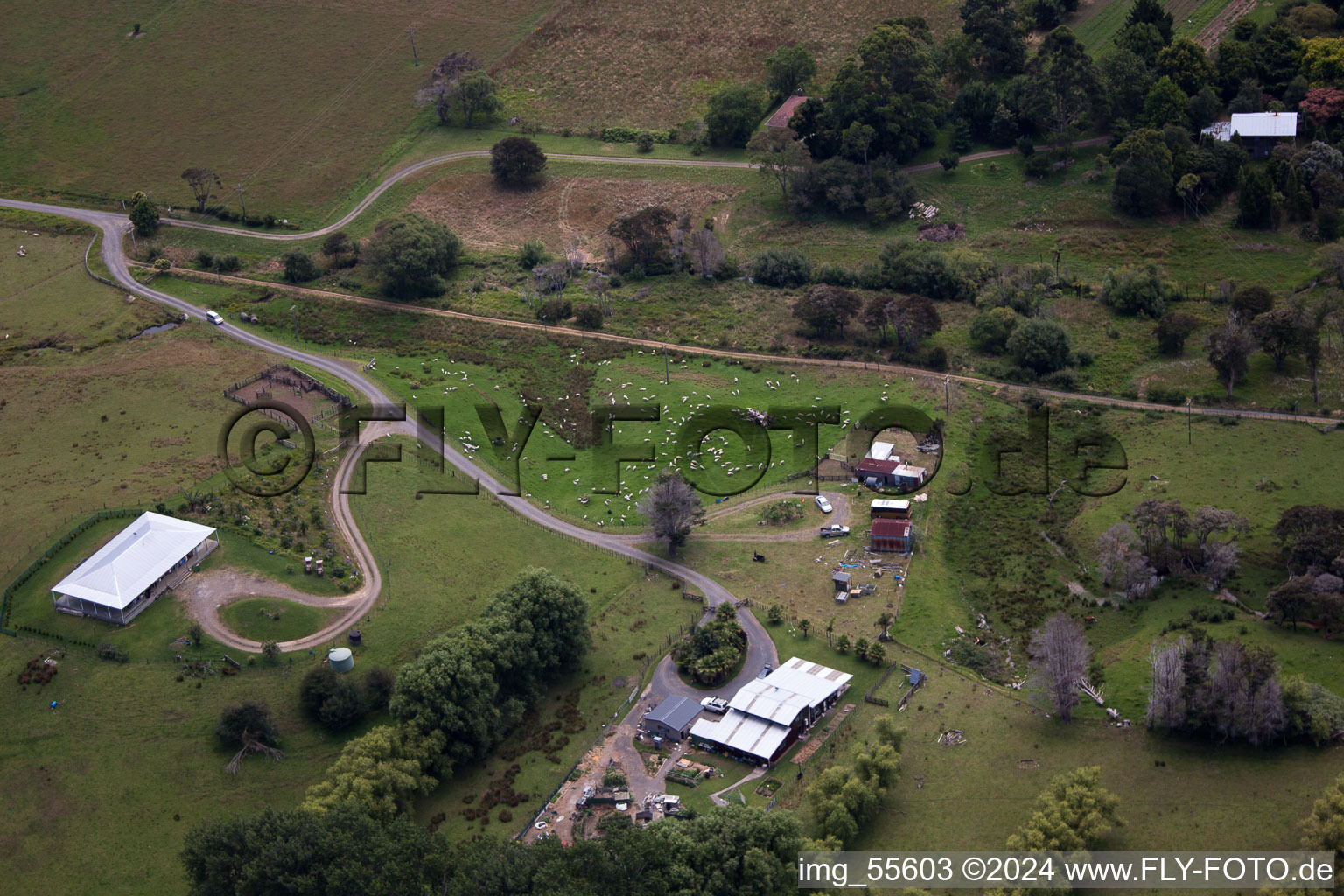 District Preece Point in Coromandel in the state Waikato, New Zealand seen from a drone