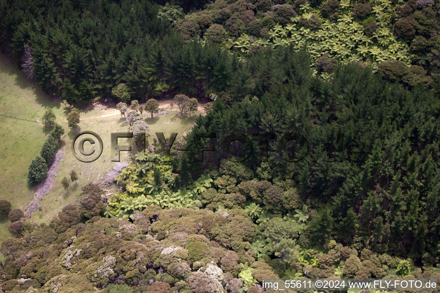 District Preece Point in Coromandel in the state Waikato, New Zealand from above