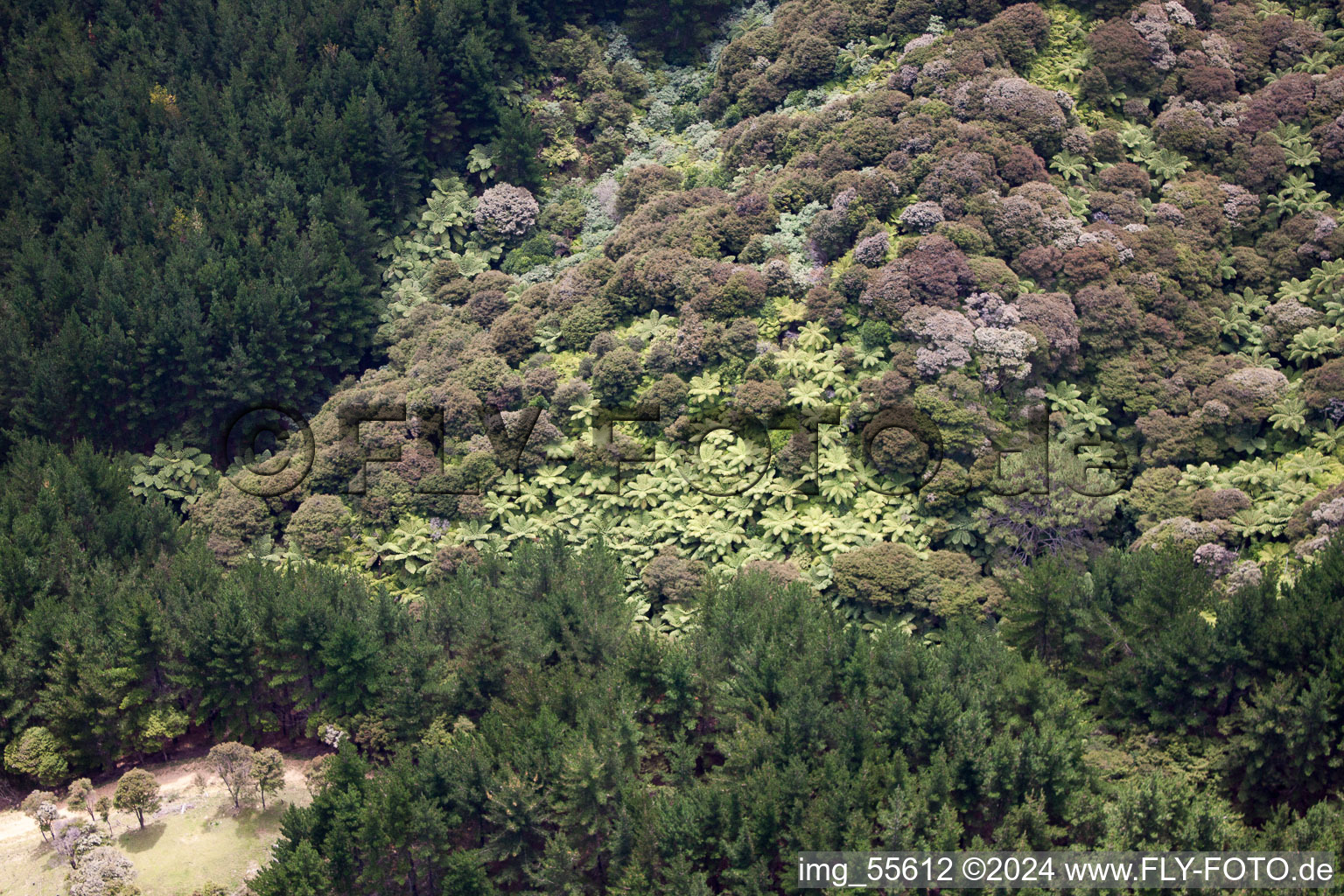 District Preece Point in Coromandel in the state Waikato, New Zealand out of the air