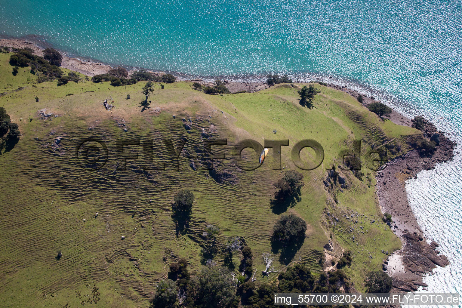 Whanganui Island in the state Waikato, New Zealand from above