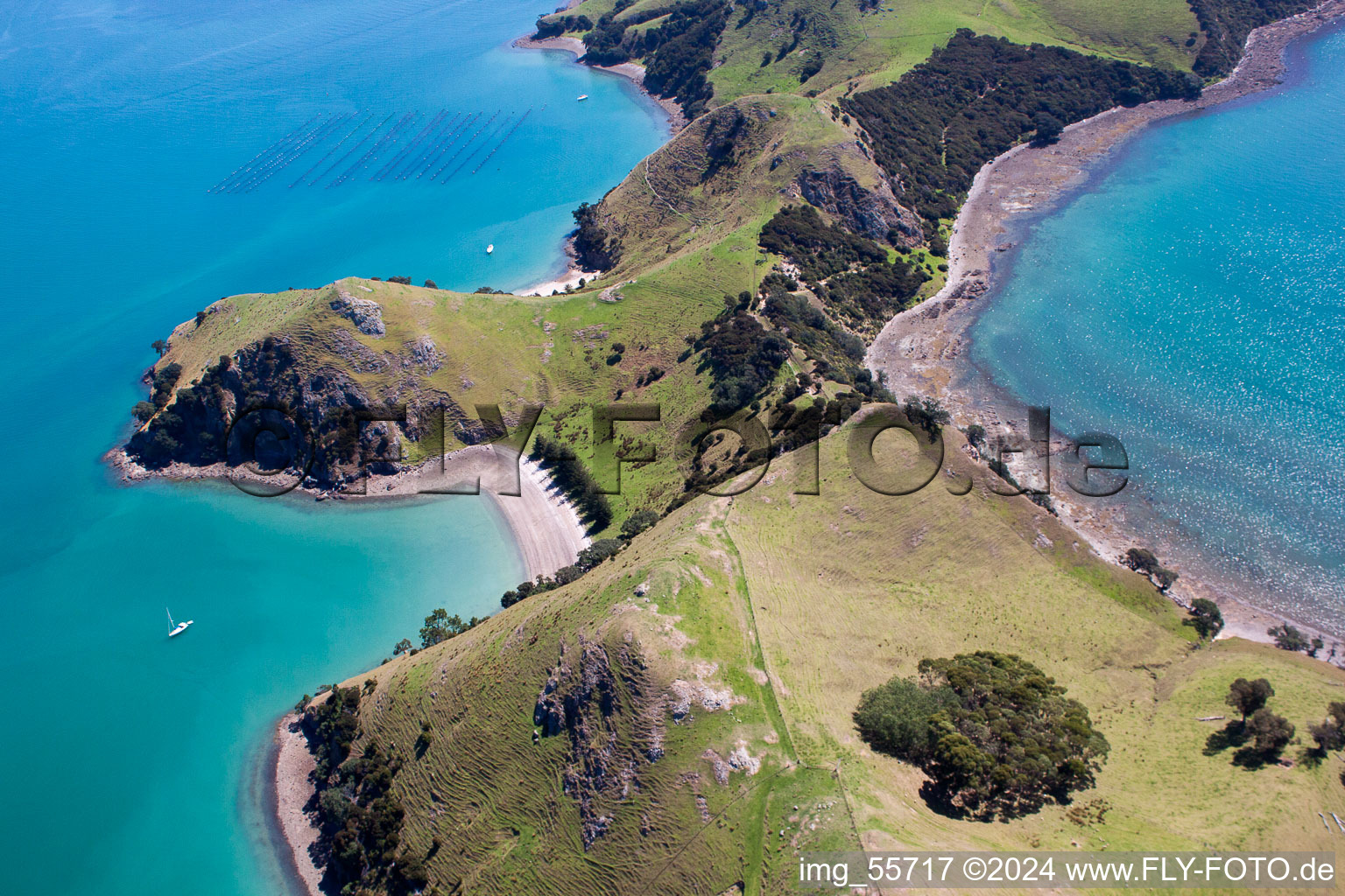 Oblique view of Whanganui Island in the state Waikato, New Zealand