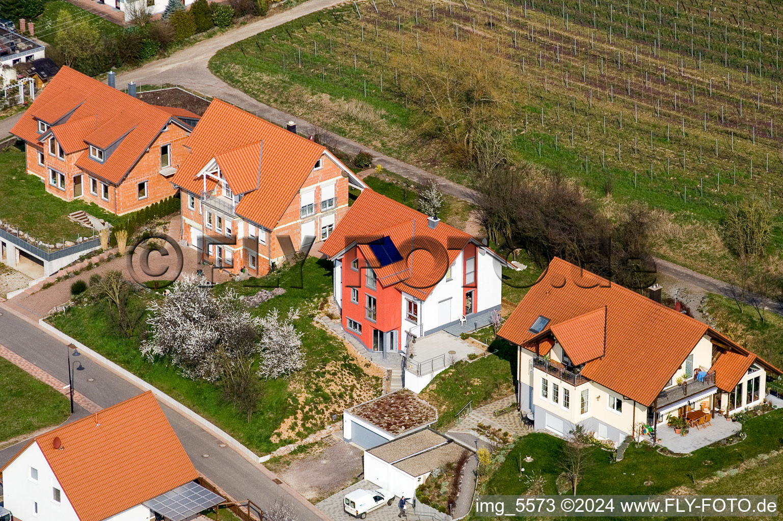 Hergersweiler in the state Rhineland-Palatinate, Germany from above