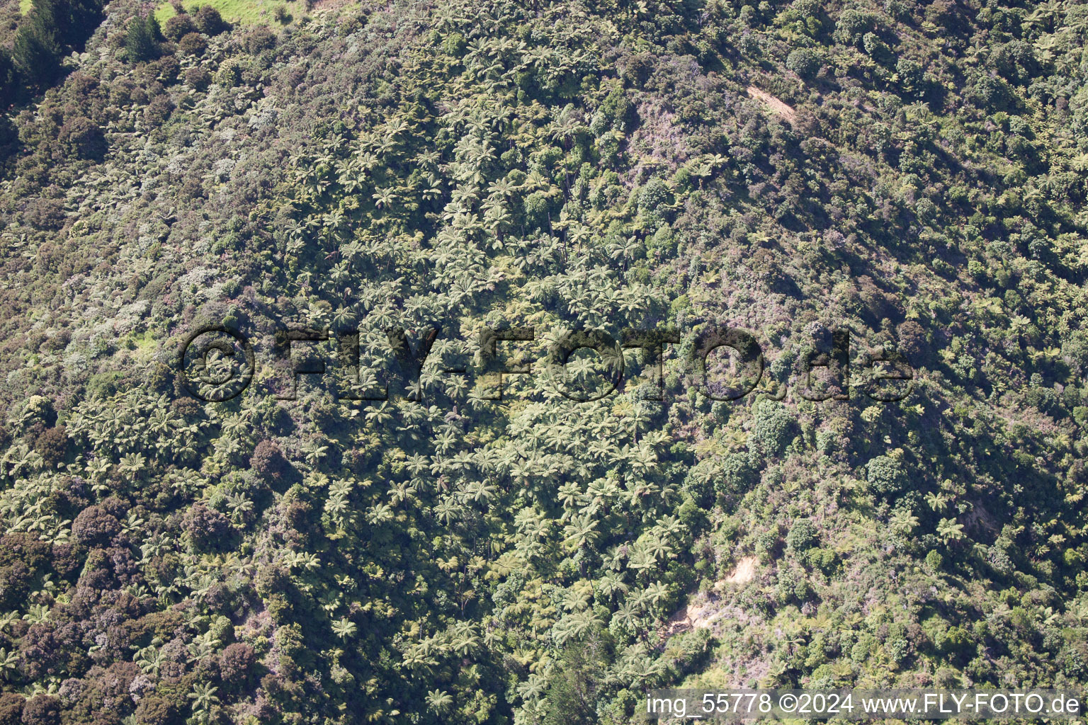 Coromandel in the state Waikato, New Zealand viewn from the air