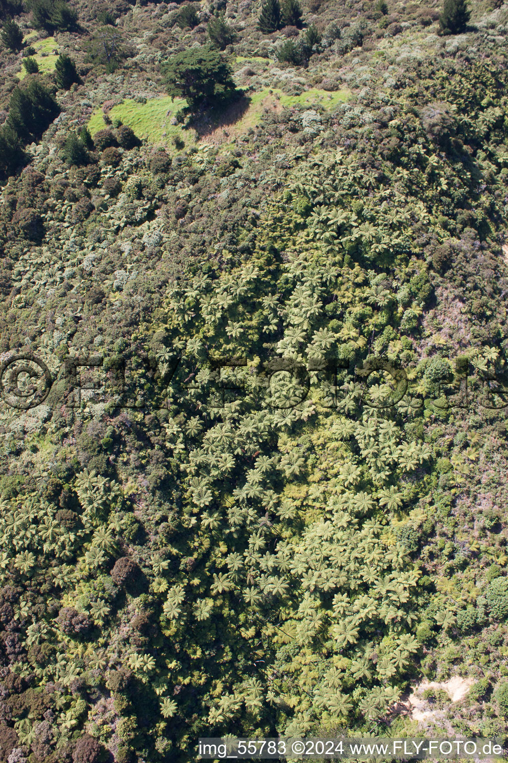 Coromandel in the state Waikato, New Zealand from the drone perspective