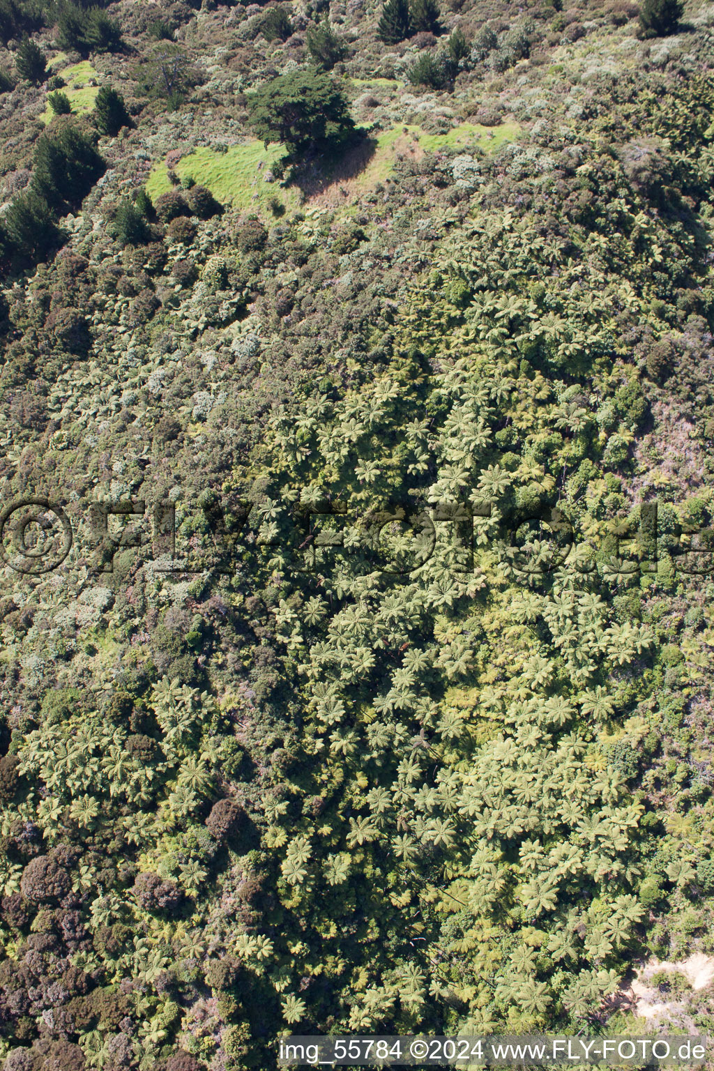 Coromandel in the state Waikato, New Zealand from a drone