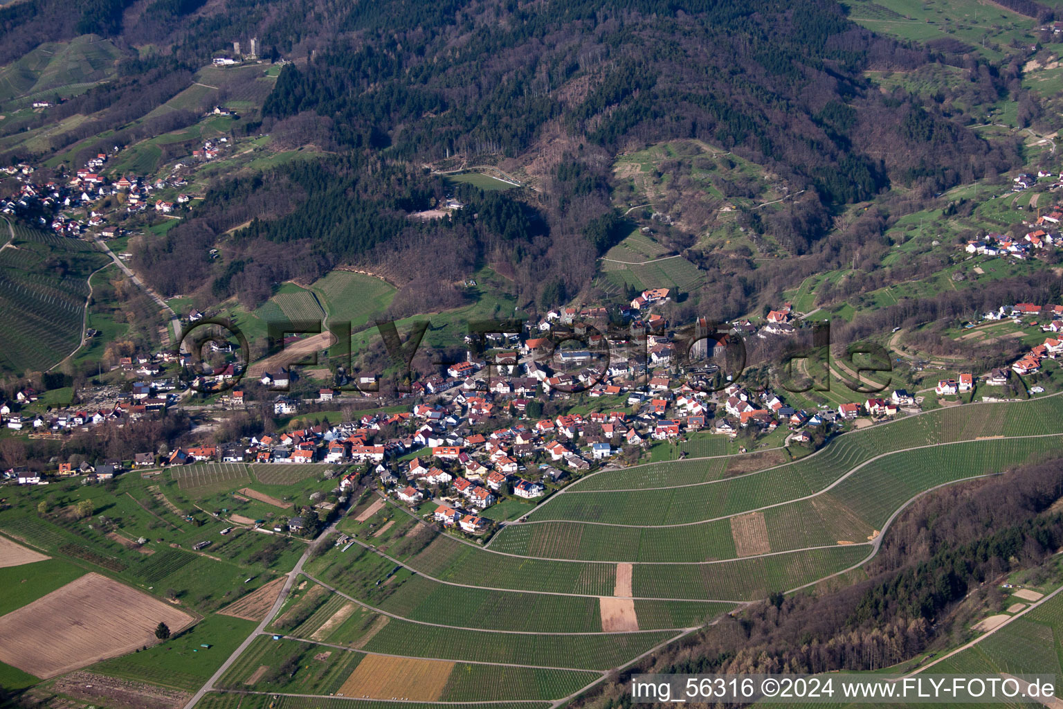 Aerial view of Village - view on the edge of wine yards in the district Neusatz in Buehl in the state Baden-Wurttemberg