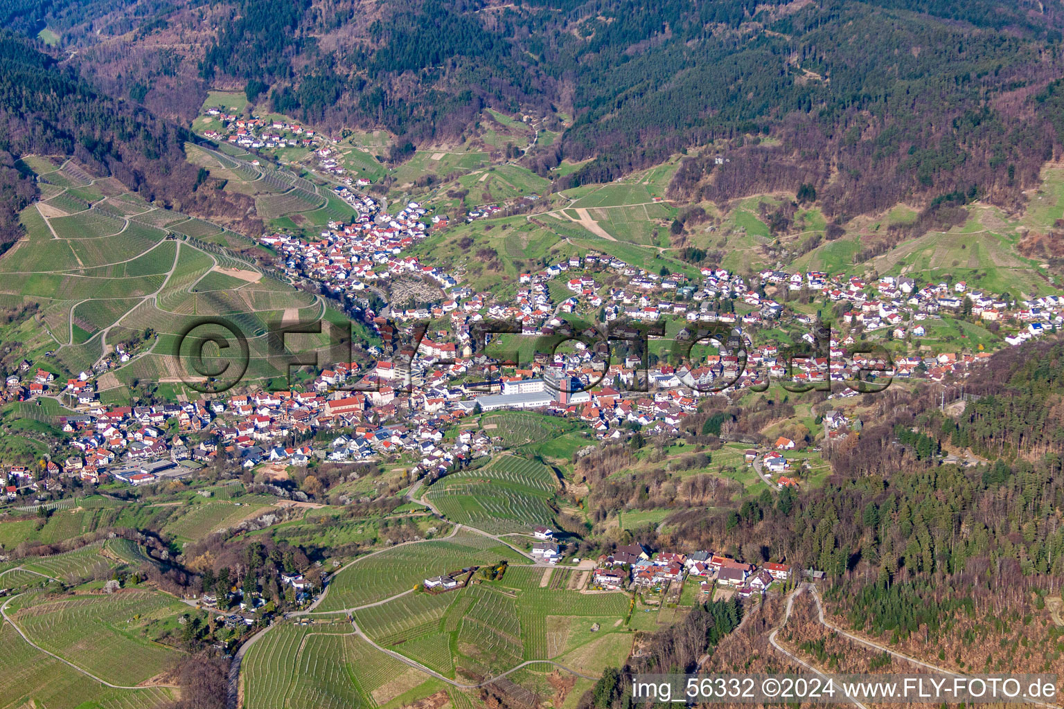 Bühlertal in the state Baden-Wuerttemberg, Germany out of the air