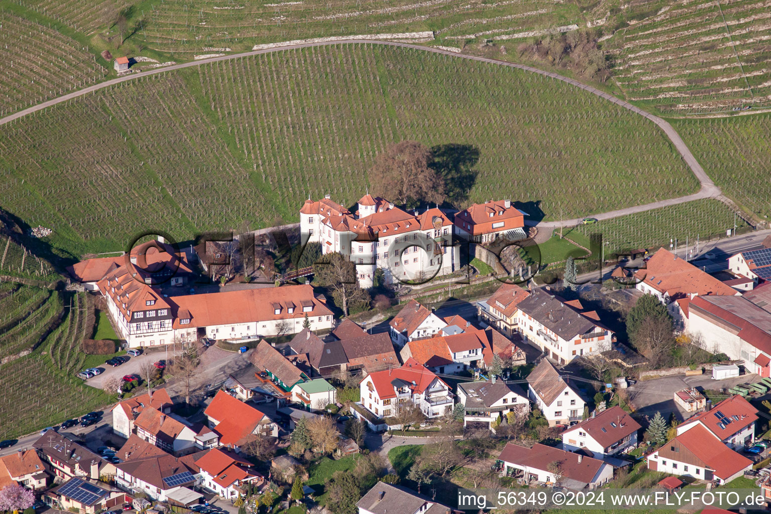 Castle Neuweier from the southwest in the district Neuweier in Baden-Baden in the state Baden-Wuerttemberg, Germany