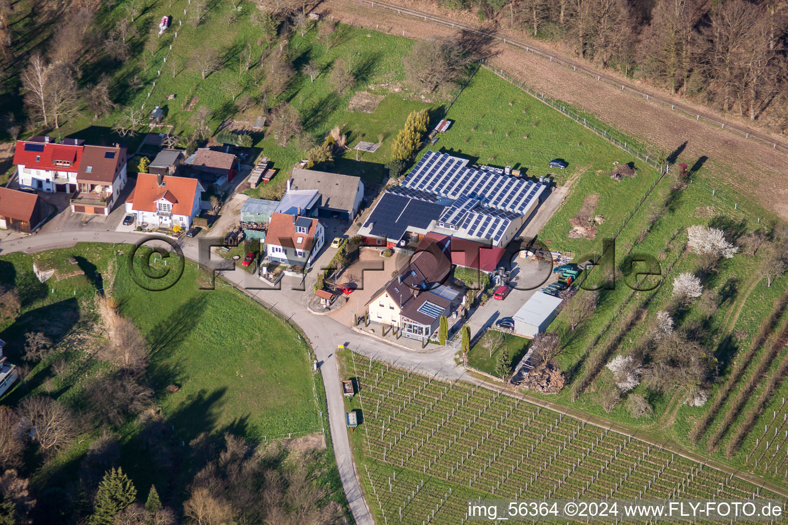 Aerial view of Kopp Winery in the district Ebenung in Sinzheim in the state Baden-Wuerttemberg, Germany