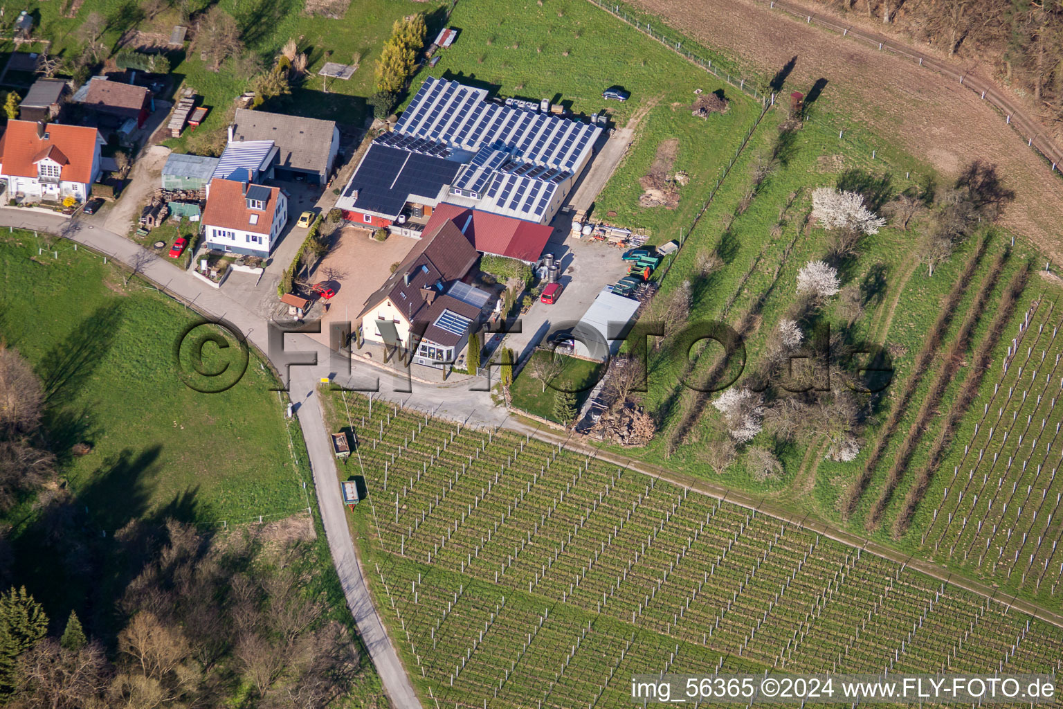 Aerial photograpy of Kopp Winery in the district Ebenung in Sinzheim in the state Baden-Wuerttemberg, Germany