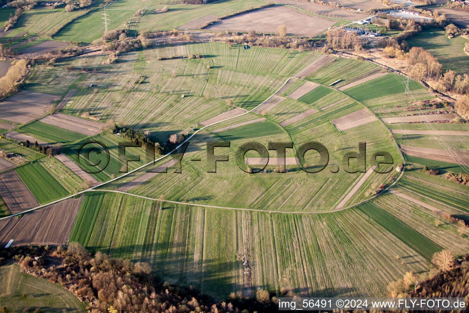 Structures on agricultural fields in the Rhine low lands near Au am Rheim in the state Baden-Wurttemberg