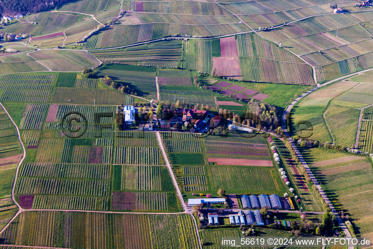 Aerial photograpy of Building complex of the Institute Julius Kuehn Rebforschungsanstalt Geilweilerhof in Siebeldingen in the state Rhineland-Palatinate, Germany