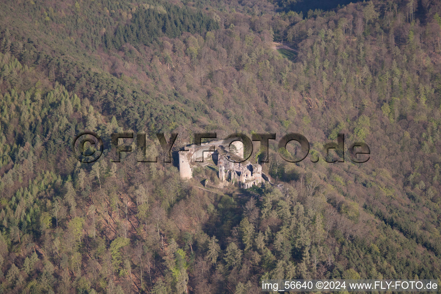 Bird's eye view of Neuscharfeneck Castle in Dernbach in the state Rhineland-Palatinate, Germany