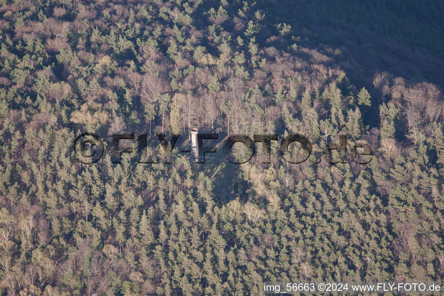 Aerial view of Ludwigsturm in Weyher in der Pfalz in the state Rhineland-Palatinate, Germany