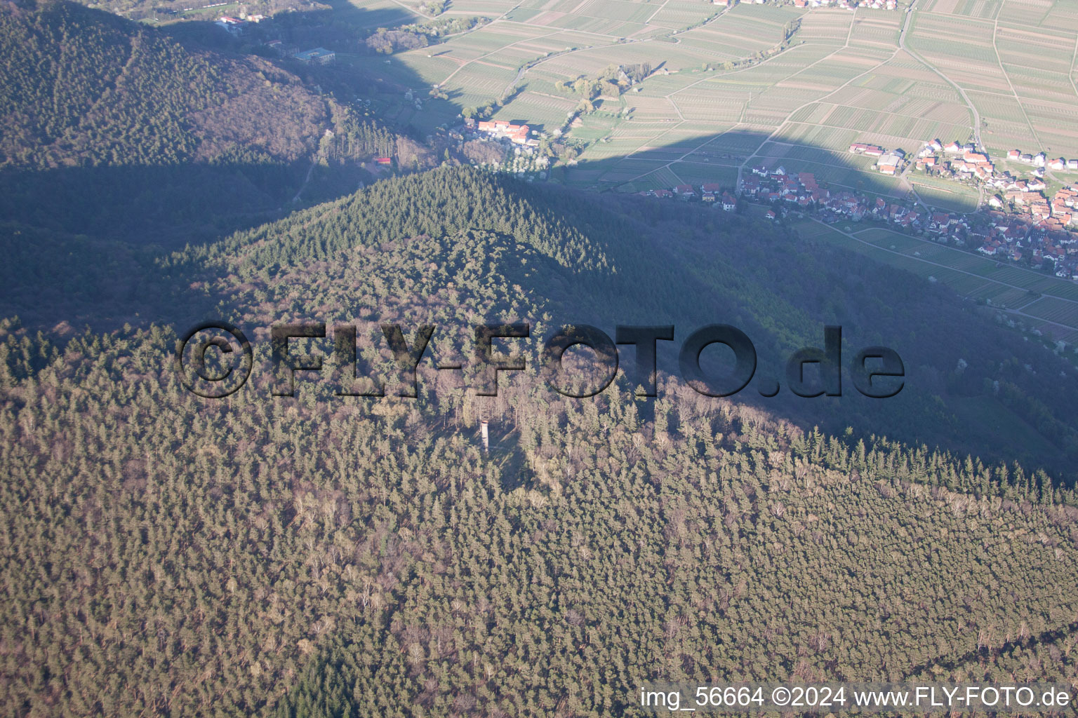 Aerial photograpy of Ludwig Tower in Weyher in der Pfalz in the state Rhineland-Palatinate, Germany