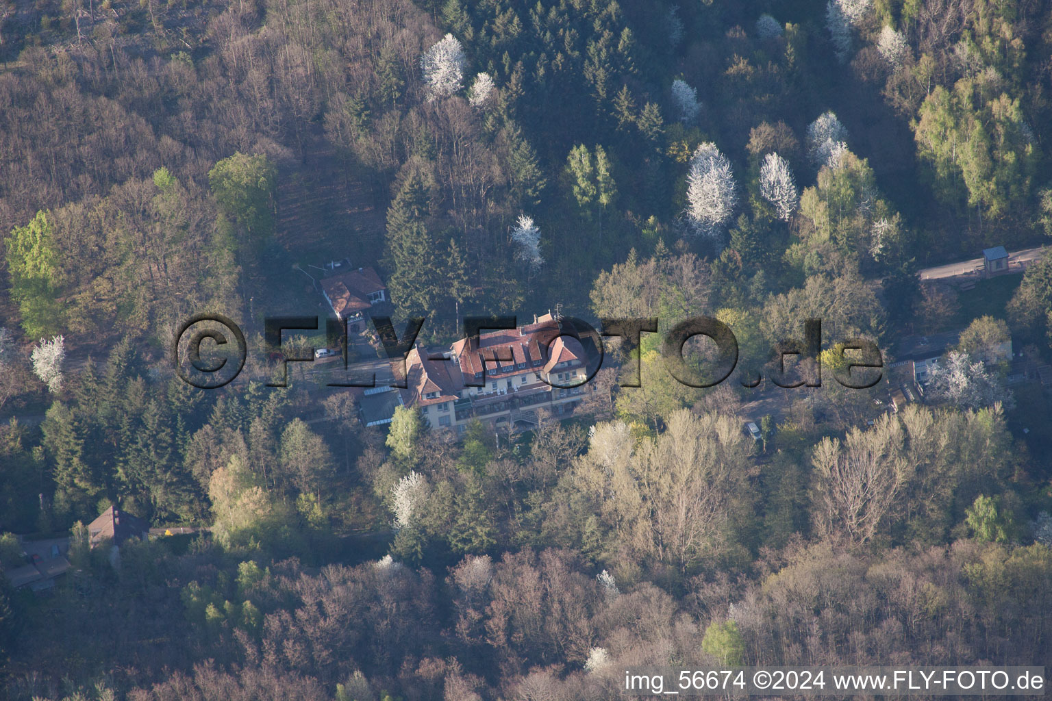 Weyher in der Pfalz in the state Rhineland-Palatinate, Germany seen from a drone