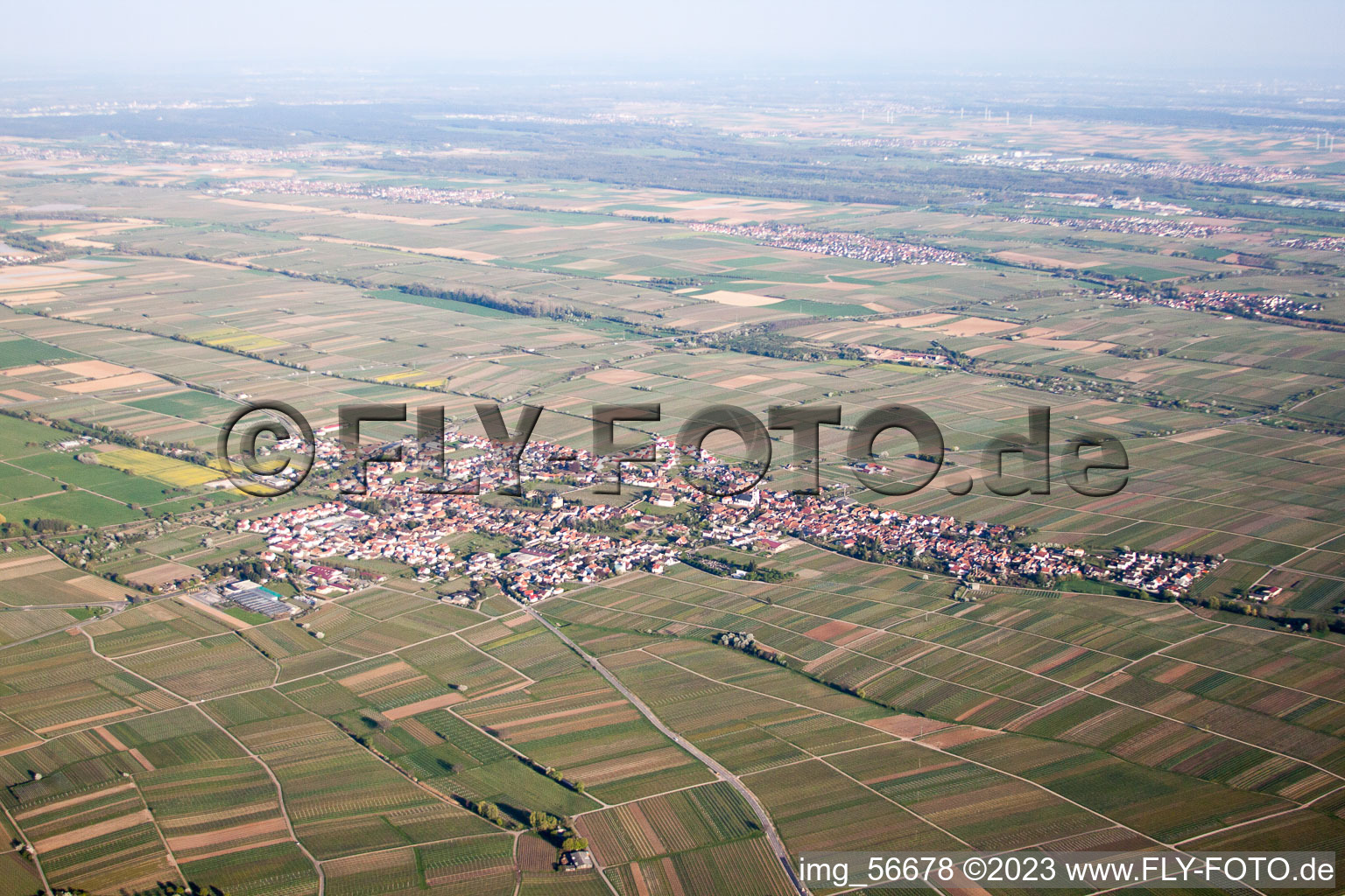Aerial view of Edenkoben in the state Rhineland-Palatinate, Germany