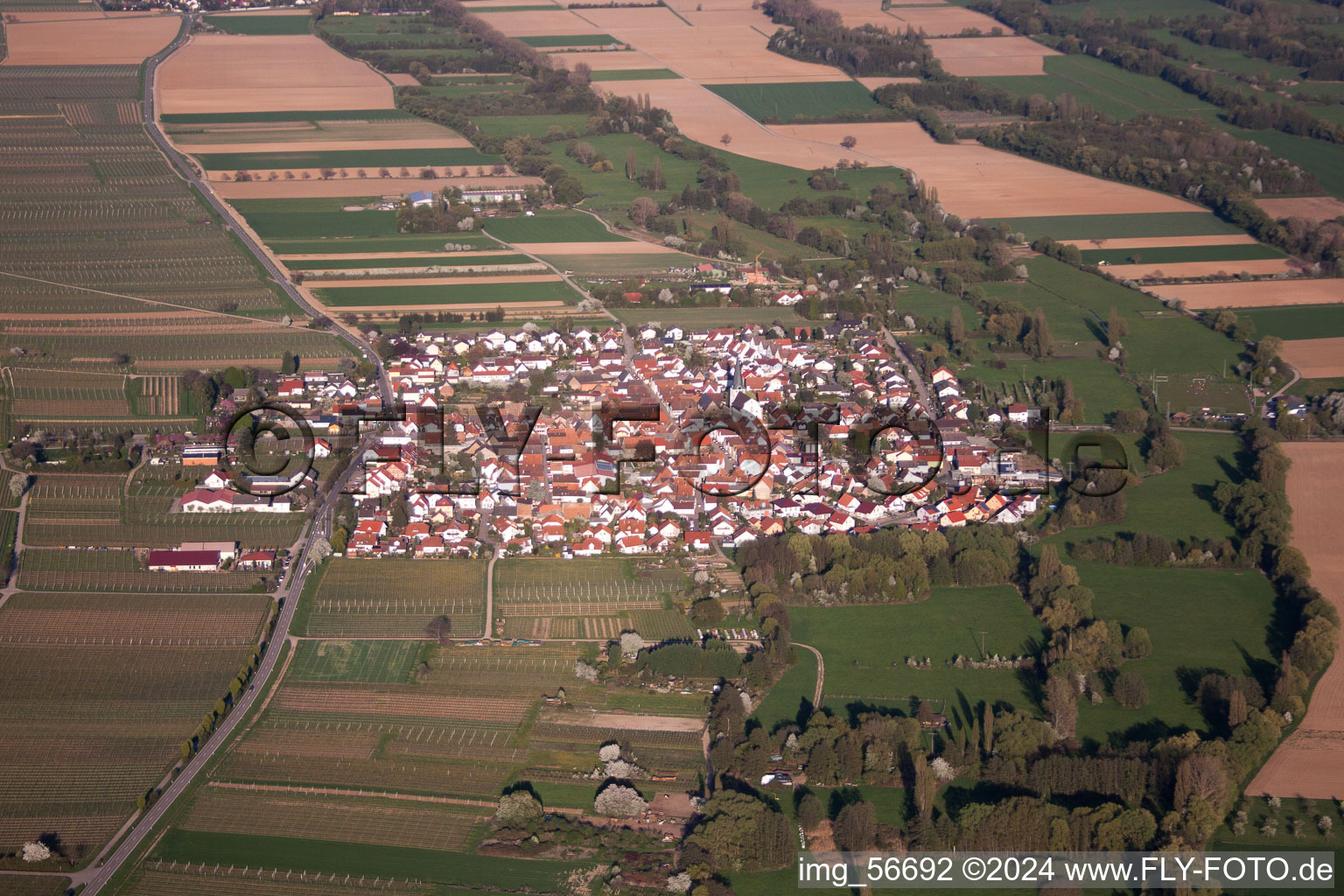 Venningen in the state Rhineland-Palatinate, Germany viewn from the air