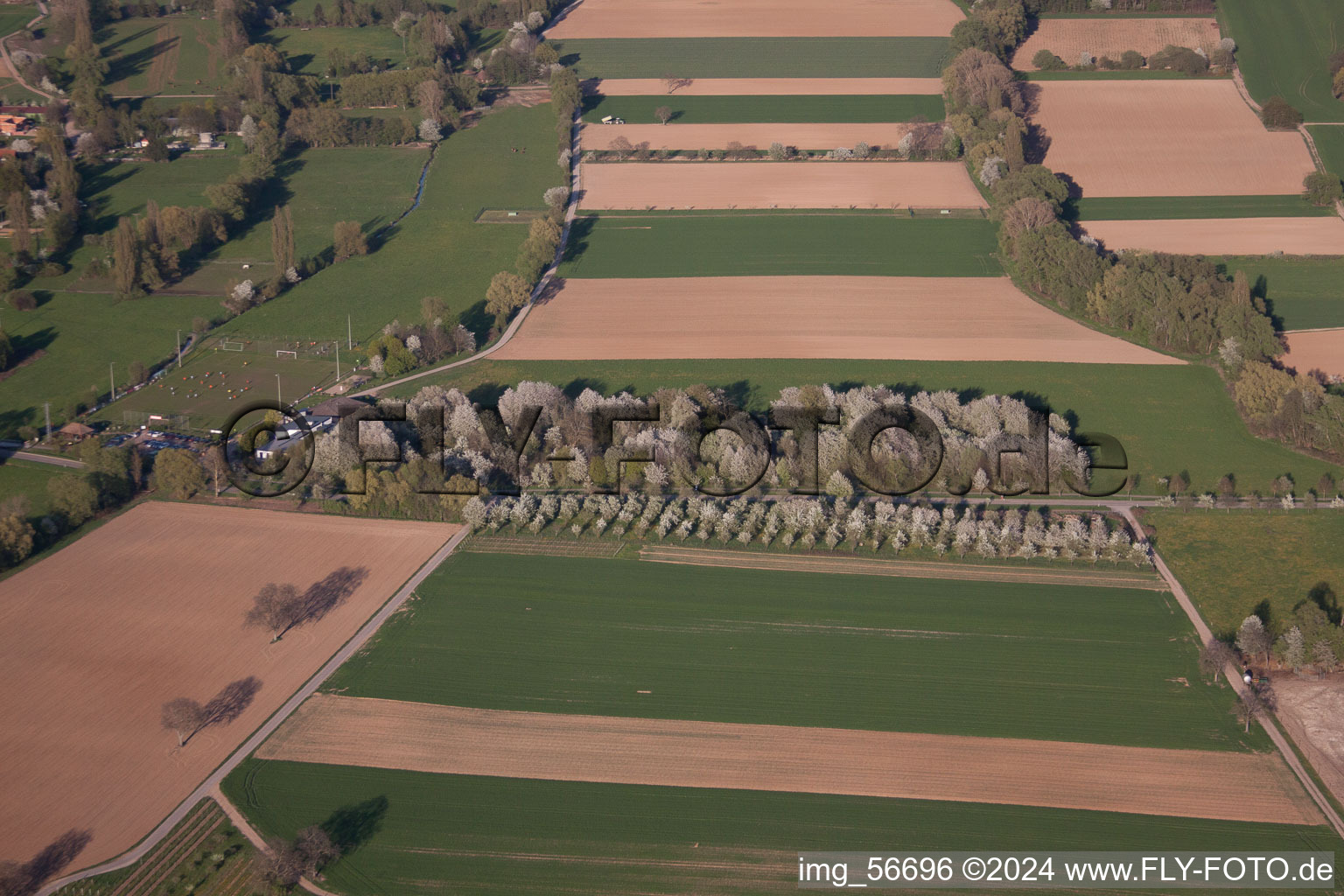 Drone recording of Venningen in the state Rhineland-Palatinate, Germany