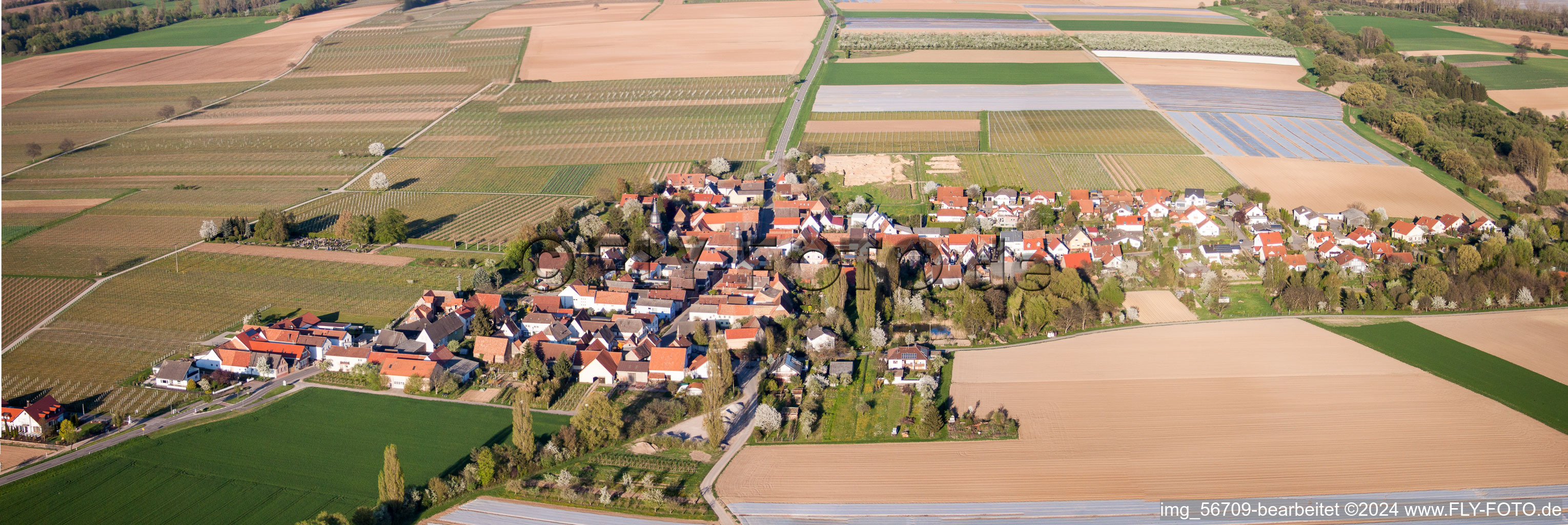 Panoramic perspective Village - view on the edge of agricultural fields and farmland in Kleinfischlingen in the state Rhineland-Palatinate, Germany