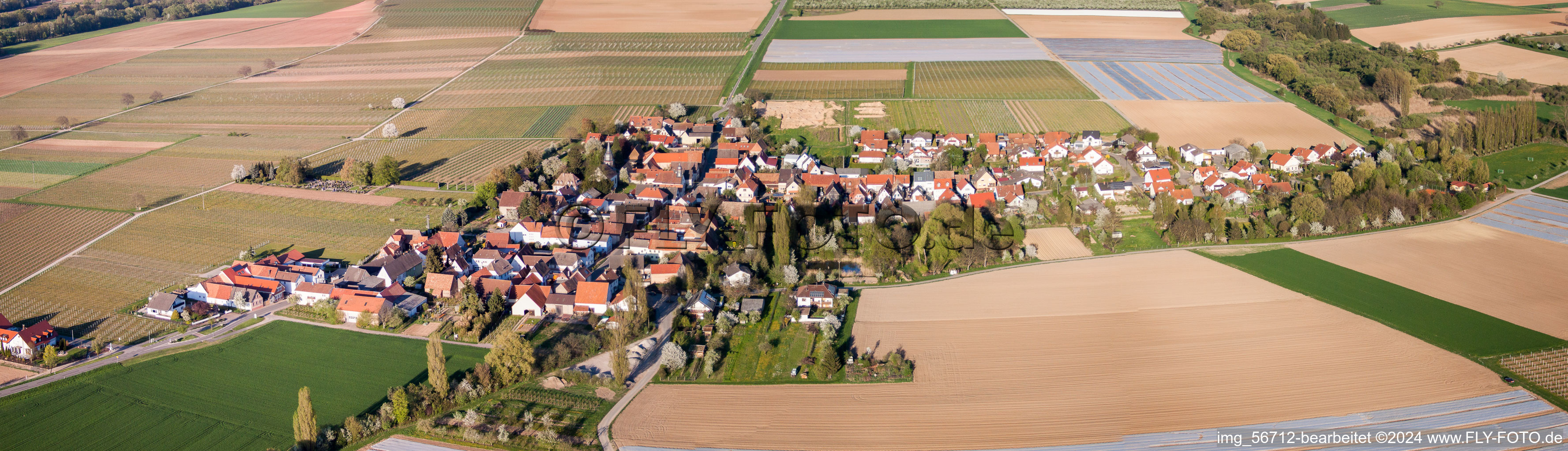 Aerial view of Panoramic perspective Village - view on the edge of agricultural fields and farmland in Kleinfischlingen in the state Rhineland-Palatinate, Germany