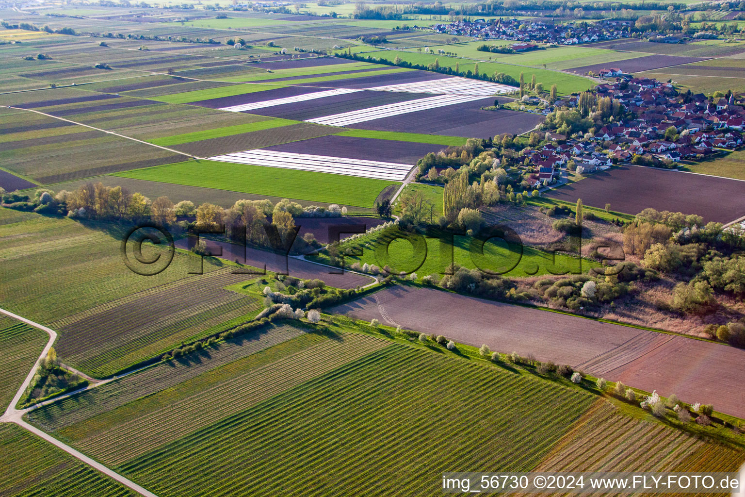 Hochstadt in the state Rhineland-Palatinate, Germany seen from a drone