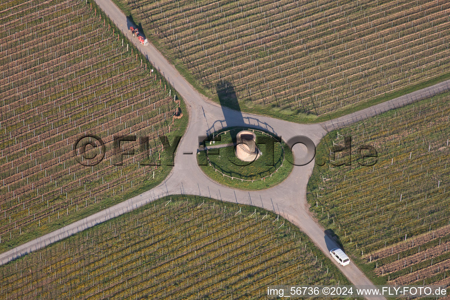 Fields of wine cultivation landscape in Hochstadt (Pfalz) in the state Rhineland-Palatinate