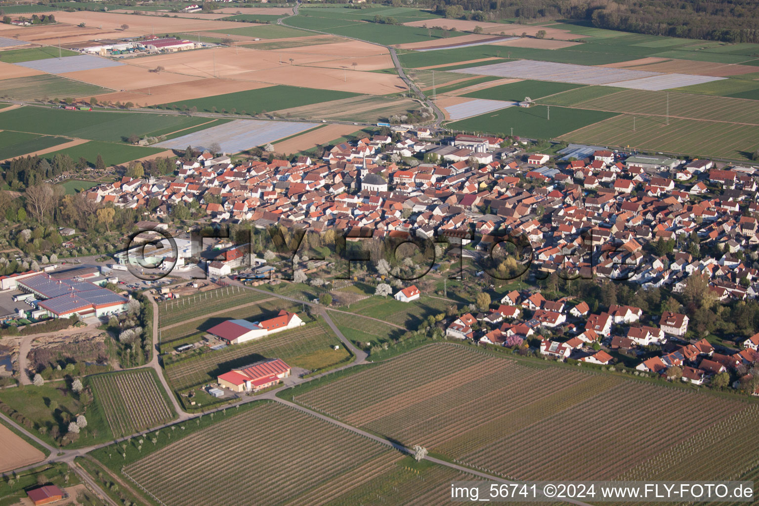 Bird's eye view of District Niederhochstadt in Hochstadt in the state Rhineland-Palatinate, Germany