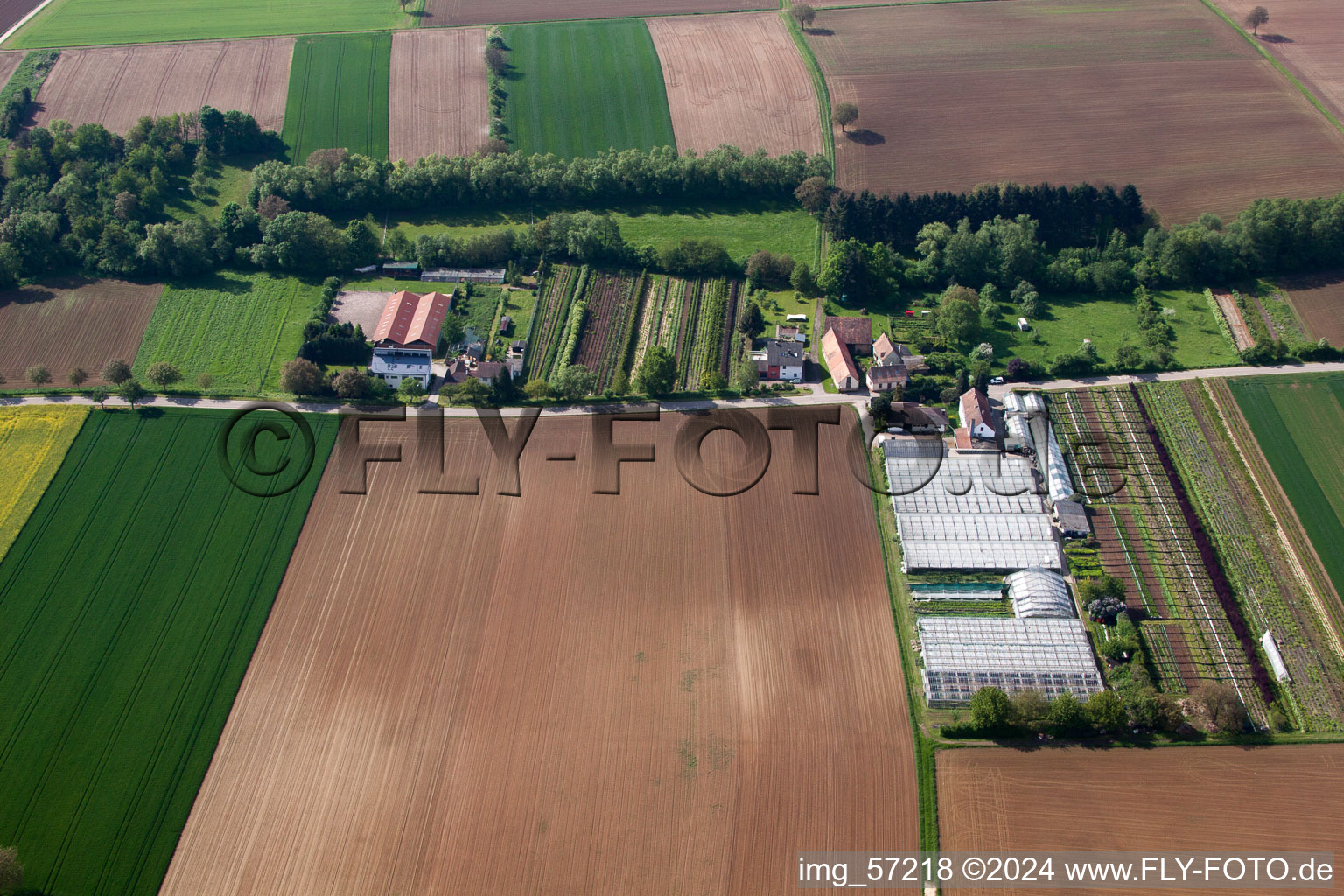 Vollmersweiler in the state Rhineland-Palatinate, Germany from above