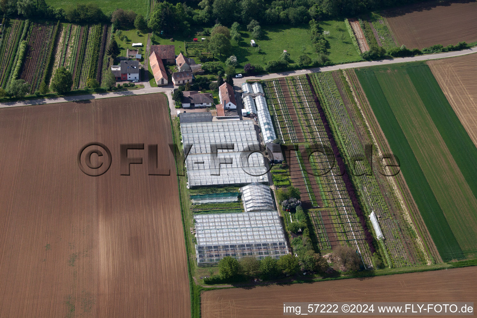 Bird's eye view of Vollmersweiler in the state Rhineland-Palatinate, Germany