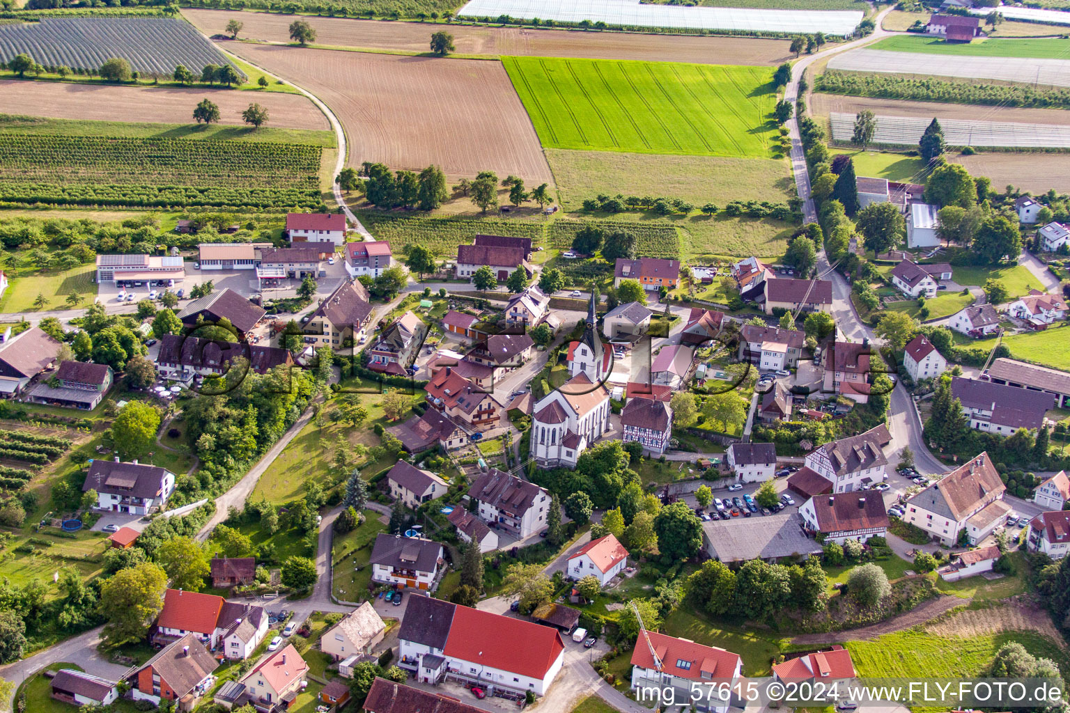 District Lippertsreute in Überlingen in the state Baden-Wuerttemberg, Germany from above