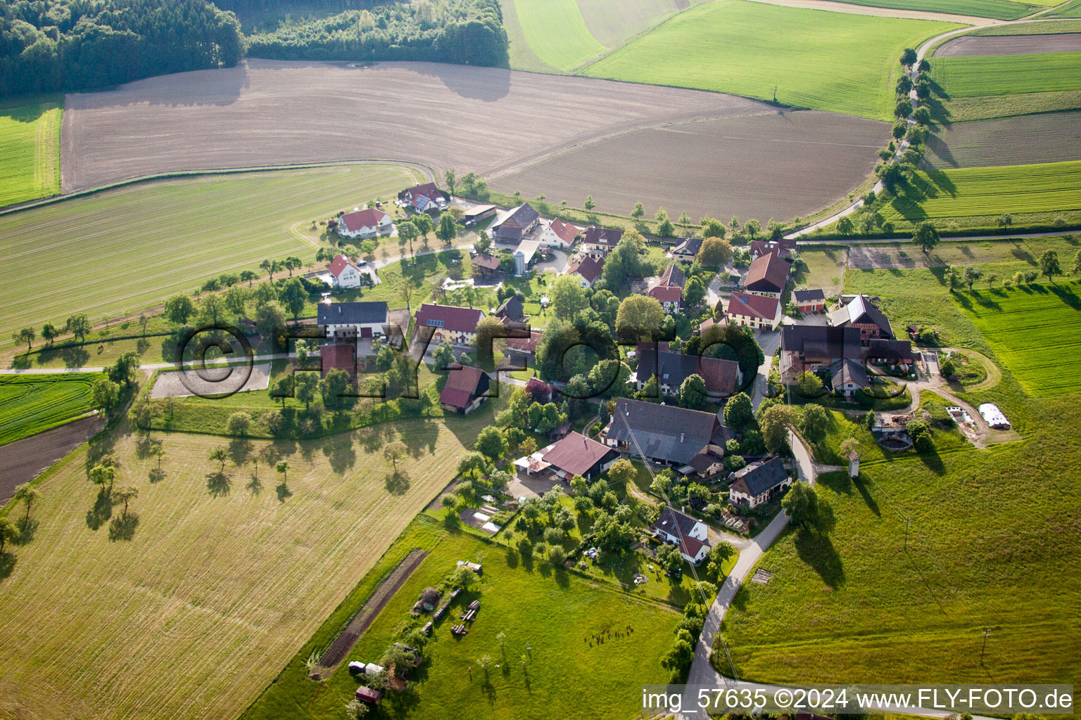 Aerial view of Village view in the district Herdwangen in Herdwangen-Schönach in the state Baden-Wuerttemberg, Germany