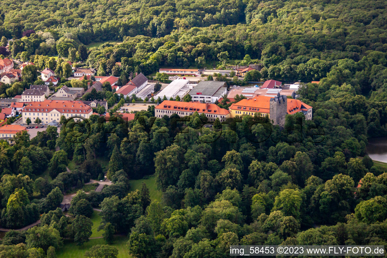 Aerial view of Castle and castle park with castle pond Ballenstedt from the north in Ballenstedt in the state Saxony-Anhalt, Germany