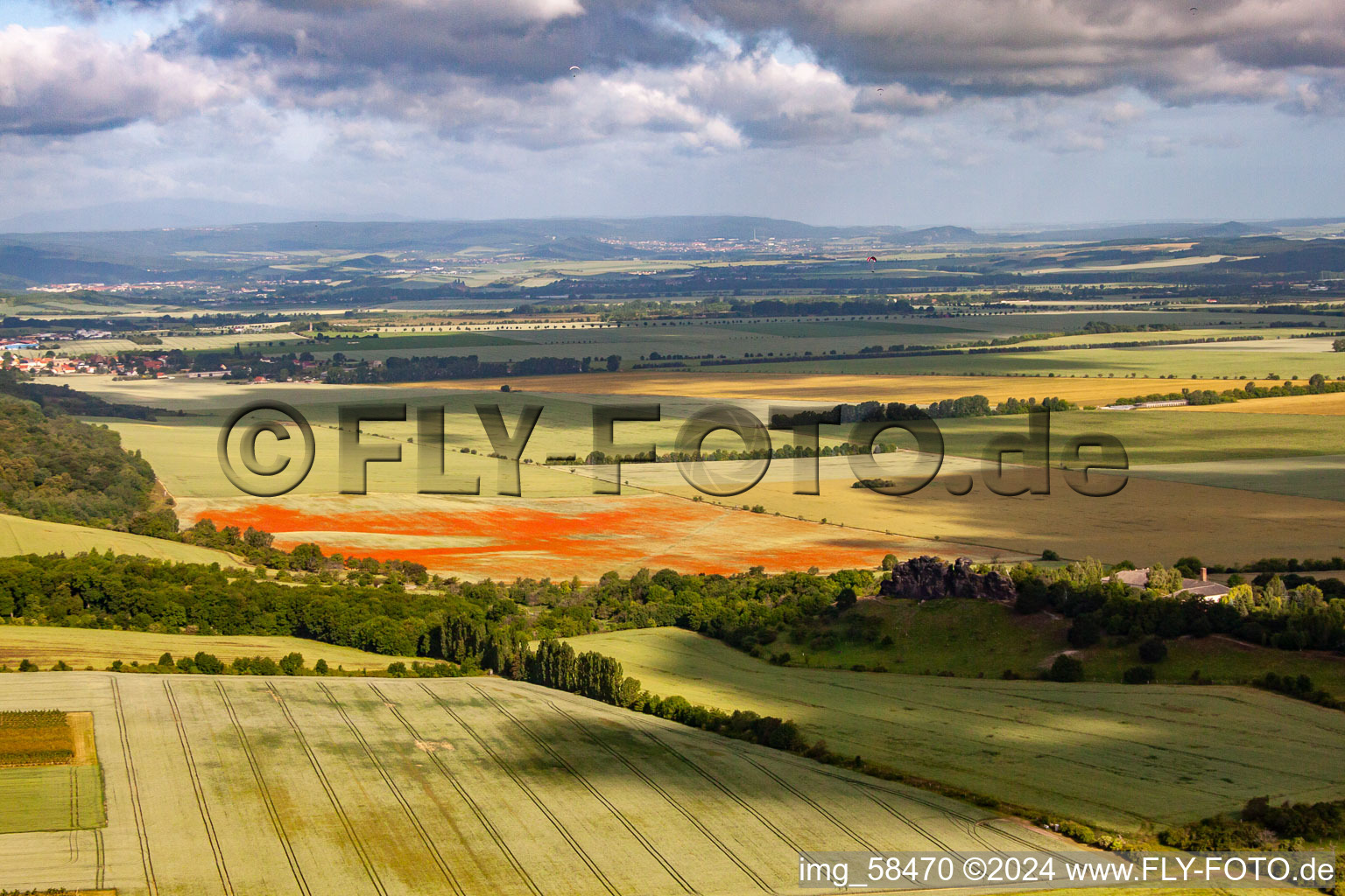 Ballenstedt in the state Saxony-Anhalt, Germany from above