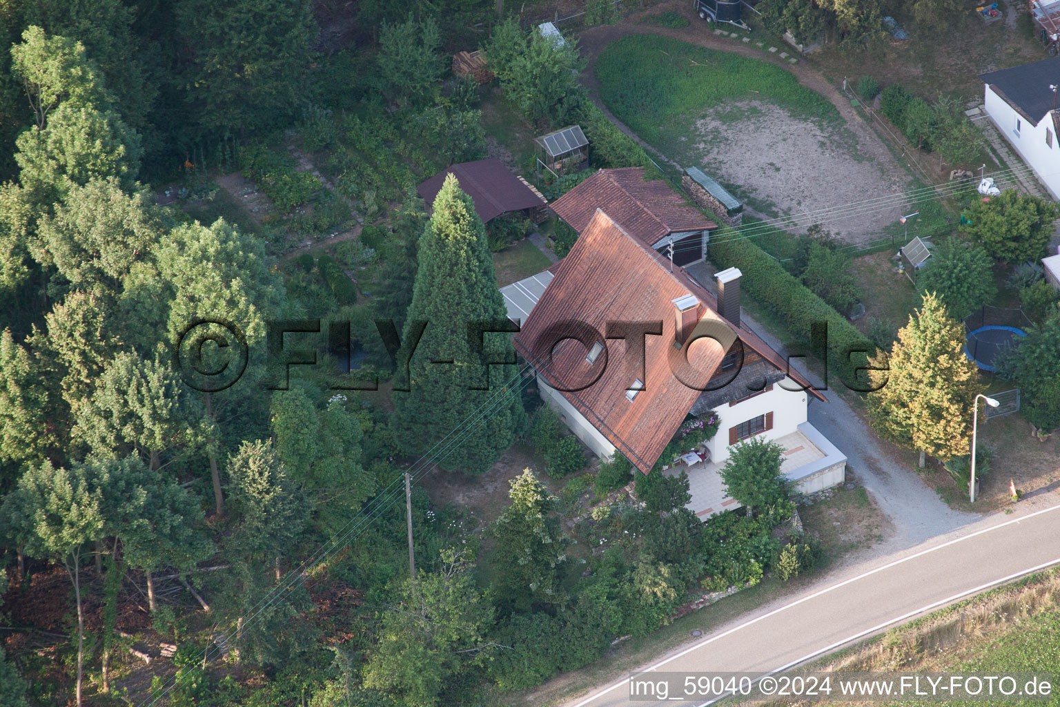 Aerial view of Bienwaldmühle in the state Rhineland-Palatinate, Germany