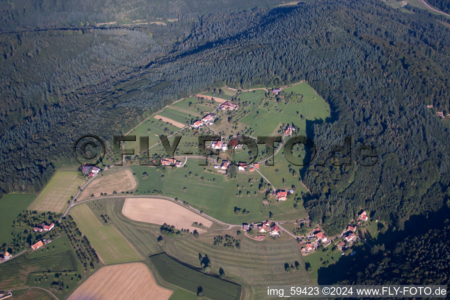 Oblique view of Freiamt in the state Baden-Wuerttemberg, Germany