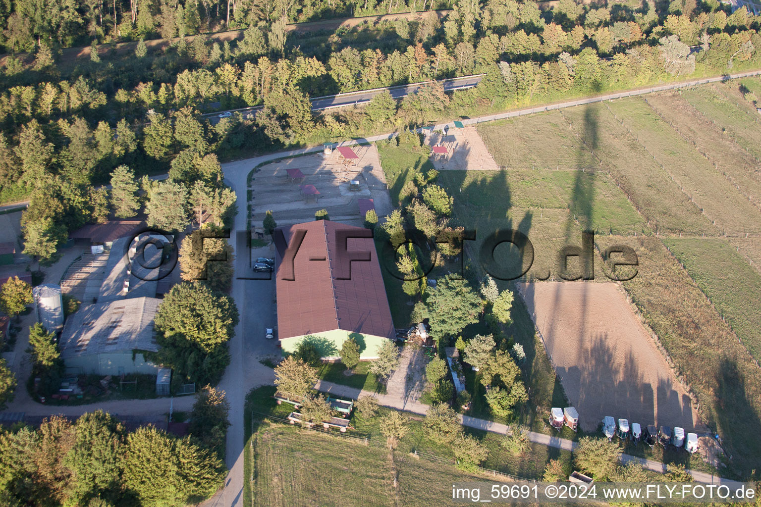 Oblique view of Horse boarding Brecht in the district Huttenheim in Philippsburg in the state Baden-Wuerttemberg, Germany